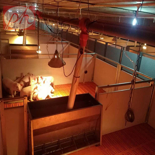 ������,С�i���������߶˱�����λ�����ر�����